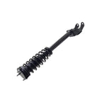 Suspension Strut and Coil Spring Assembly LS54-96461L