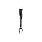 Suspension Strut and Coil Spring Assembly LS54-96461R