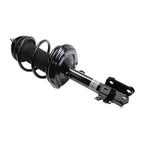 Suspension Strut and Coil Spring Assembly LS55-99001L