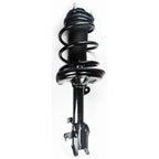 Suspension Strut and Coil Spring Assembly LS55-99001L