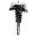 Suspension Strut and Coil Spring Assembly LS55-99031L