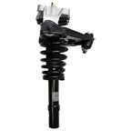 Suspension Strut and Coil Spring Assembly LS55-99031L