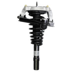 Suspension Strut and Coil Spring Assembly LS55-99031L
