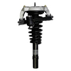 Suspension Strut and Coil Spring Assembly LS55-99031R
