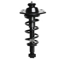 Loaded Strut LS55-99042R