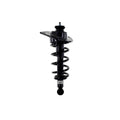 Loaded Strut LS55-99052L