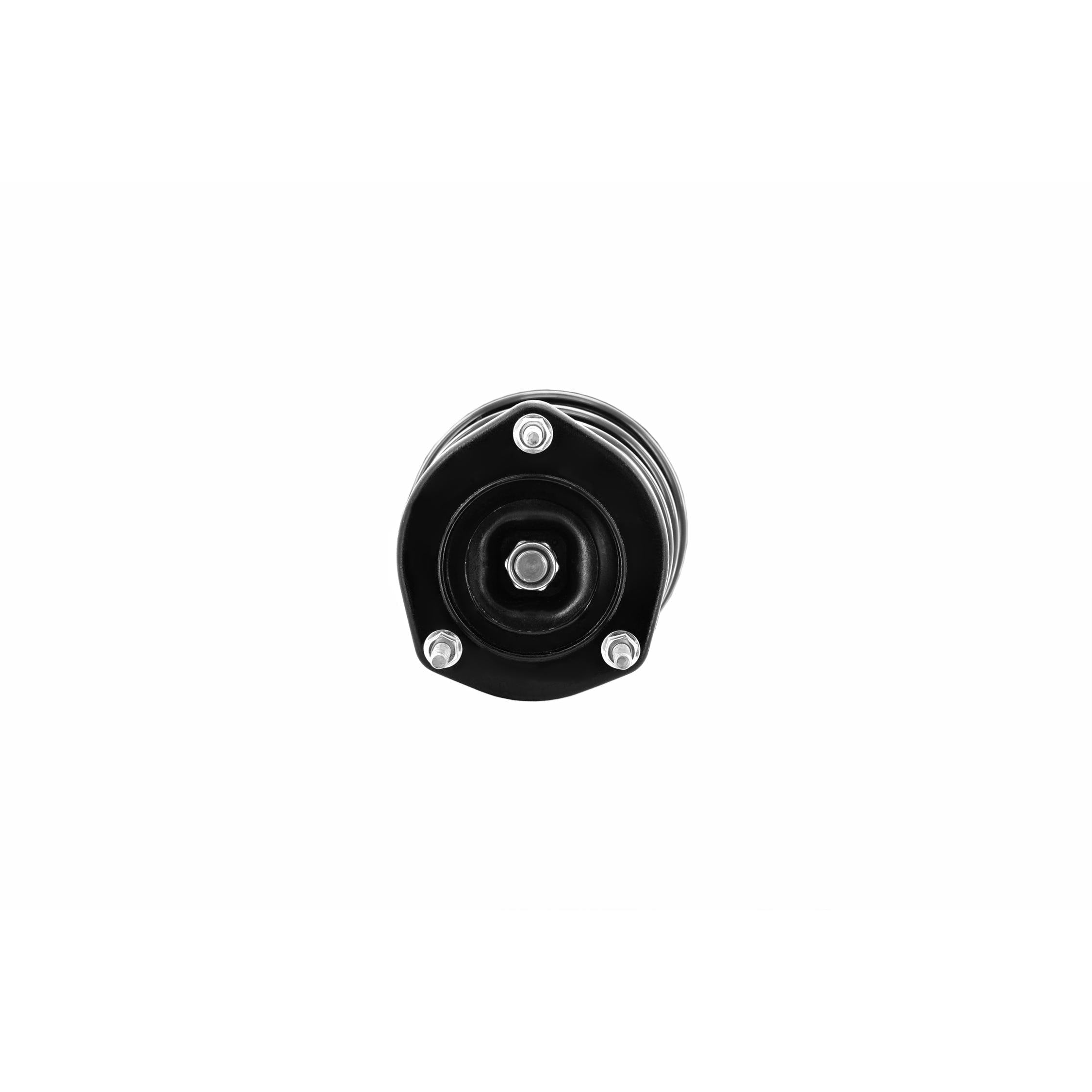 Loaded Strut and Coil Spring Assembly LS55-99082R