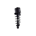 Suspension Strut and Coil Spring Assembly LS55-99102L