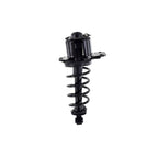 Suspension Strut and Coil Spring Assembly LS55-99102L