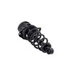 Suspension Strut and Coil Spring Assembly LS55-99102L