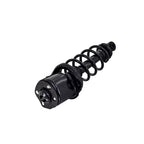 Suspension Strut and Coil Spring Assembly LS55-99102L