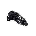 Suspension Strut and Coil Spring Assembly LS55-99102R