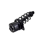 Suspension Strut and Coil Spring Assembly LS55-99102R
