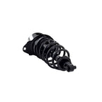 Suspension Strut and Coil Spring Assembly LS55-99112L