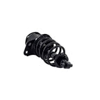 Suspension Strut and Coil Spring Assembly LS55-99112R