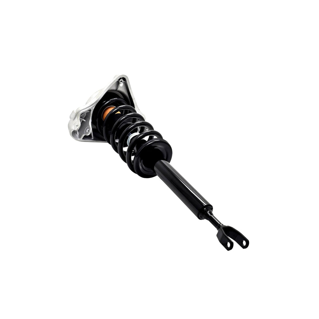 Loaded Strut LS56-97001B
