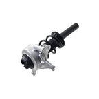 Suspension Strut and Coil Spring Assembly LS56-97041R