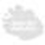 Santech A/C Compressor Kit P96-41217