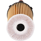 STP Extended Life Engine Oil Filter Element S45032XL
