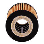 STP Extended Life Engine Oil Filter S9641XL