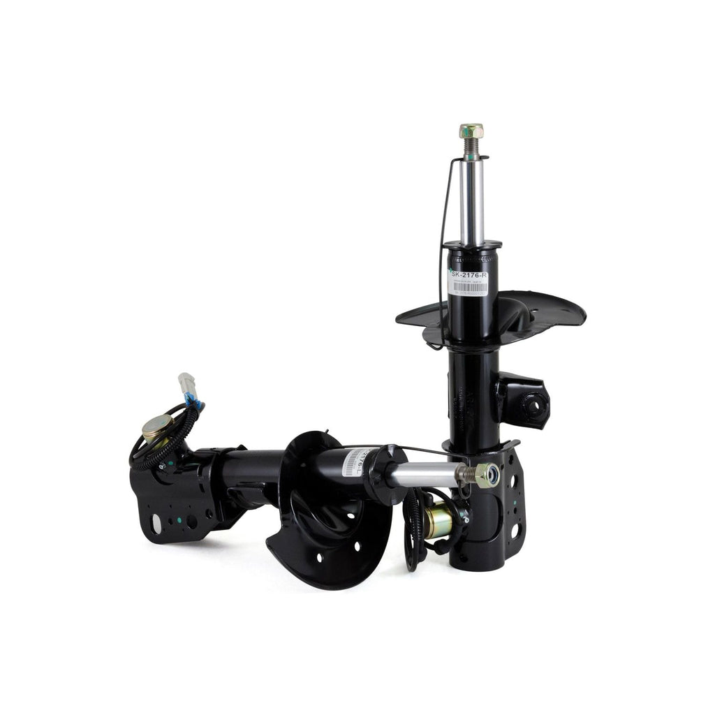 Arnott Industries Strut Set SK-2176