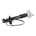 Arnott Industries Suspension Shock Absorber SK-3816