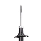 Suspension Strut ST33-13451B