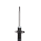 Strut ST33-13482B