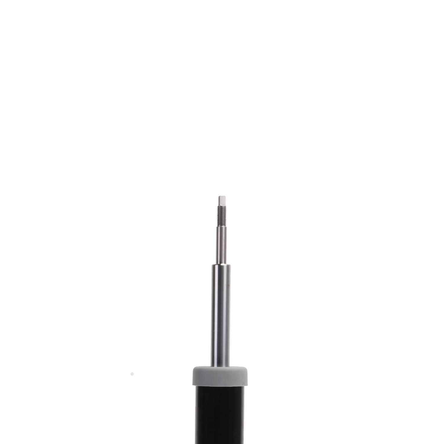 Suspension Strut ST33-13861B