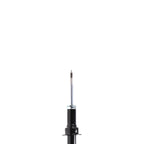 Suspension Strut ST33-13921B