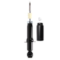 Suspension Strut ST33-14141B