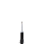 Suspension Strut ST33-14161B
