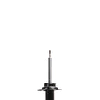 Suspension Strut ST33-14381R