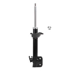 Strut ST33-14392R