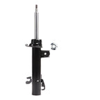 Suspension Strut ST33-14461R