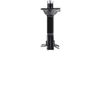 Strut ST33-14742B