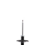 Suspension Strut ST34-16431L