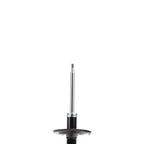 Suspension Strut ST34-16431R