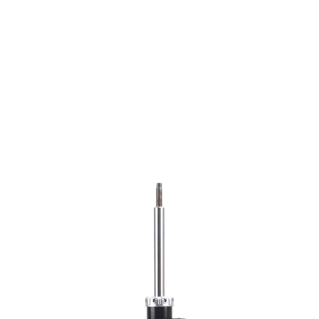 Suspension Strut ST34-16461R