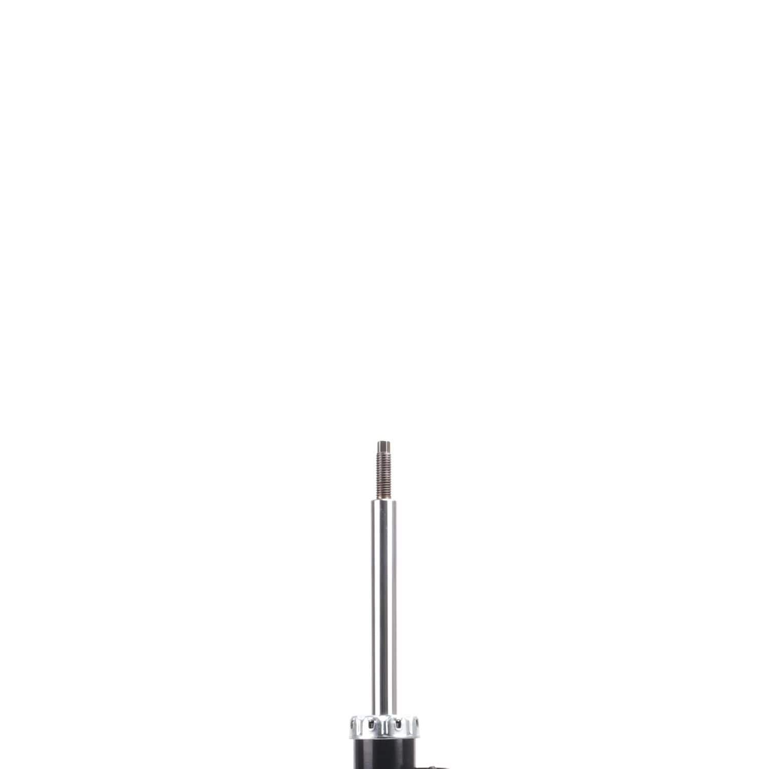 Suspension Strut ST34-16461R
