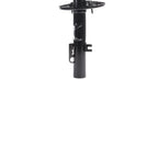 Suspension Strut ST34-16461R