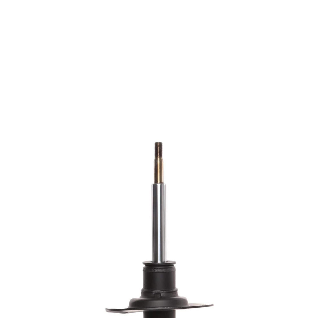 Suspension Strut ST34-16481L