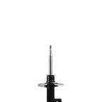 Suspension Strut ST34-16481R