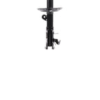 Suspension Strut ST34-16501L