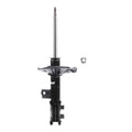 Suspension Strut ST34-16521R