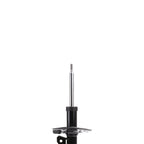 Suspension Strut ST34-16561R