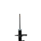 Strut ST34-16651L