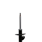 Suspension Strut ST34-16681R