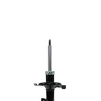Suspension Strut ST34-16741R