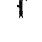 Suspension Strut ST34-16741R